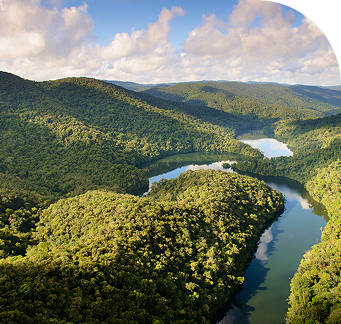 Vista aérea da Mata Atlântica no Vale do Ribeira, São Paulo